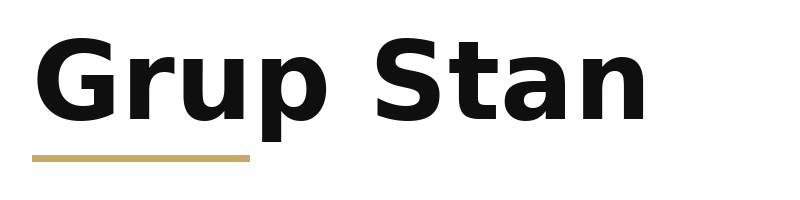 Grup Stan logo